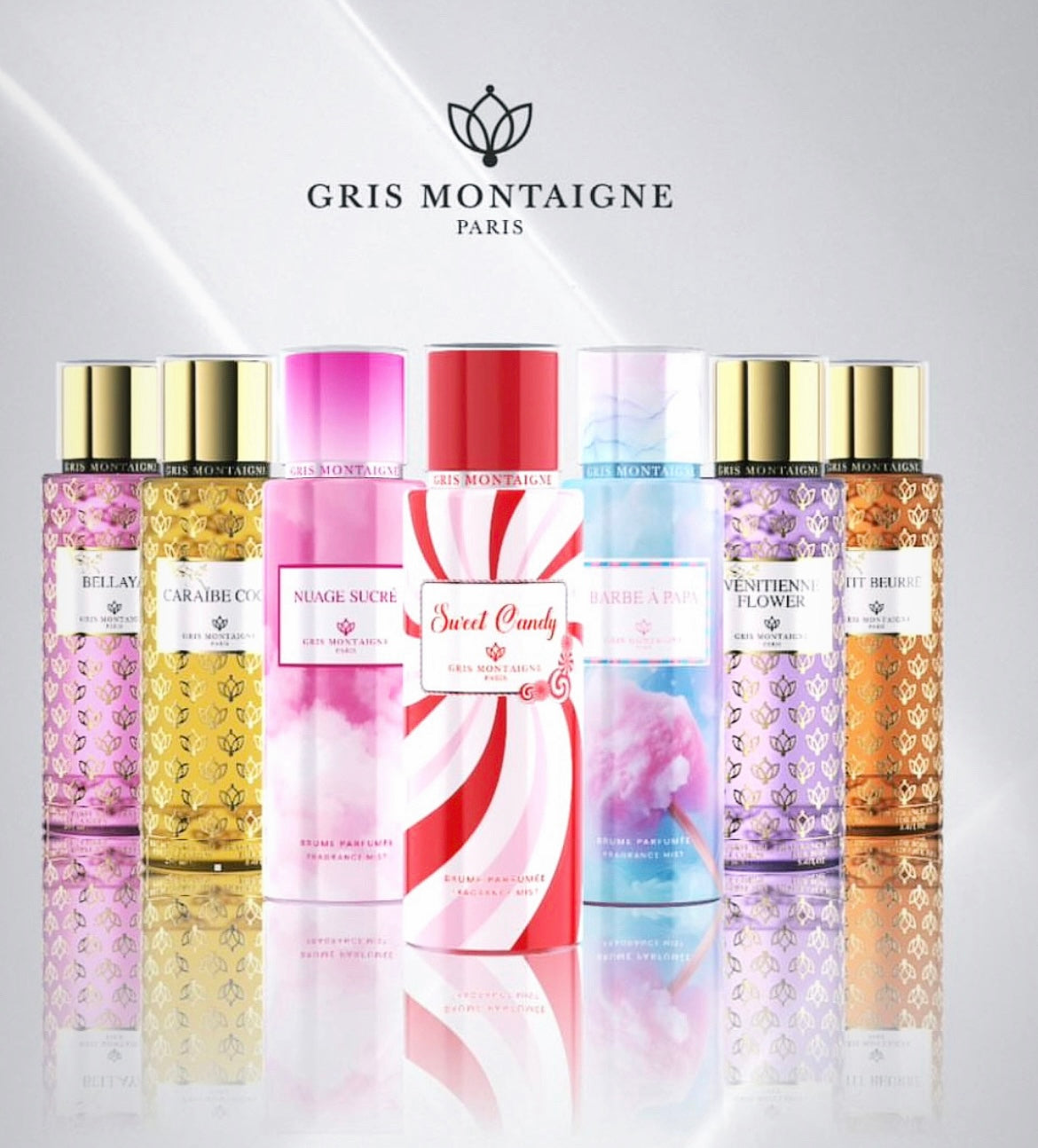 GRIS MONTAIGNE PARIS
