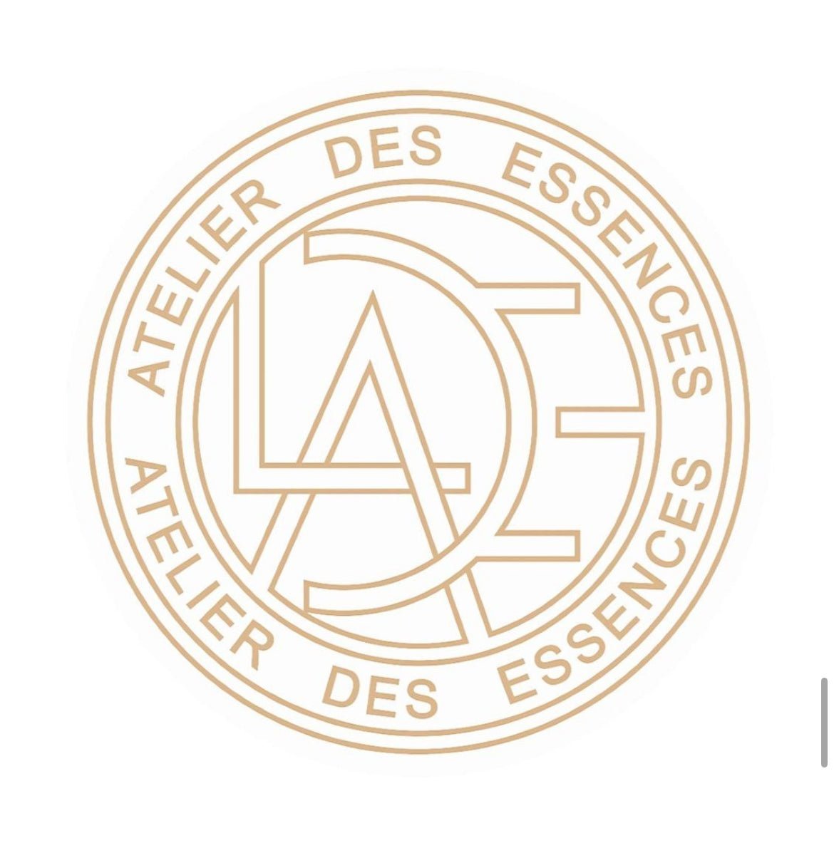 ATELIER DES ESSENCES - Charme Parisien – Eau de Parfum Femme 100 ml - AKARRA JADE