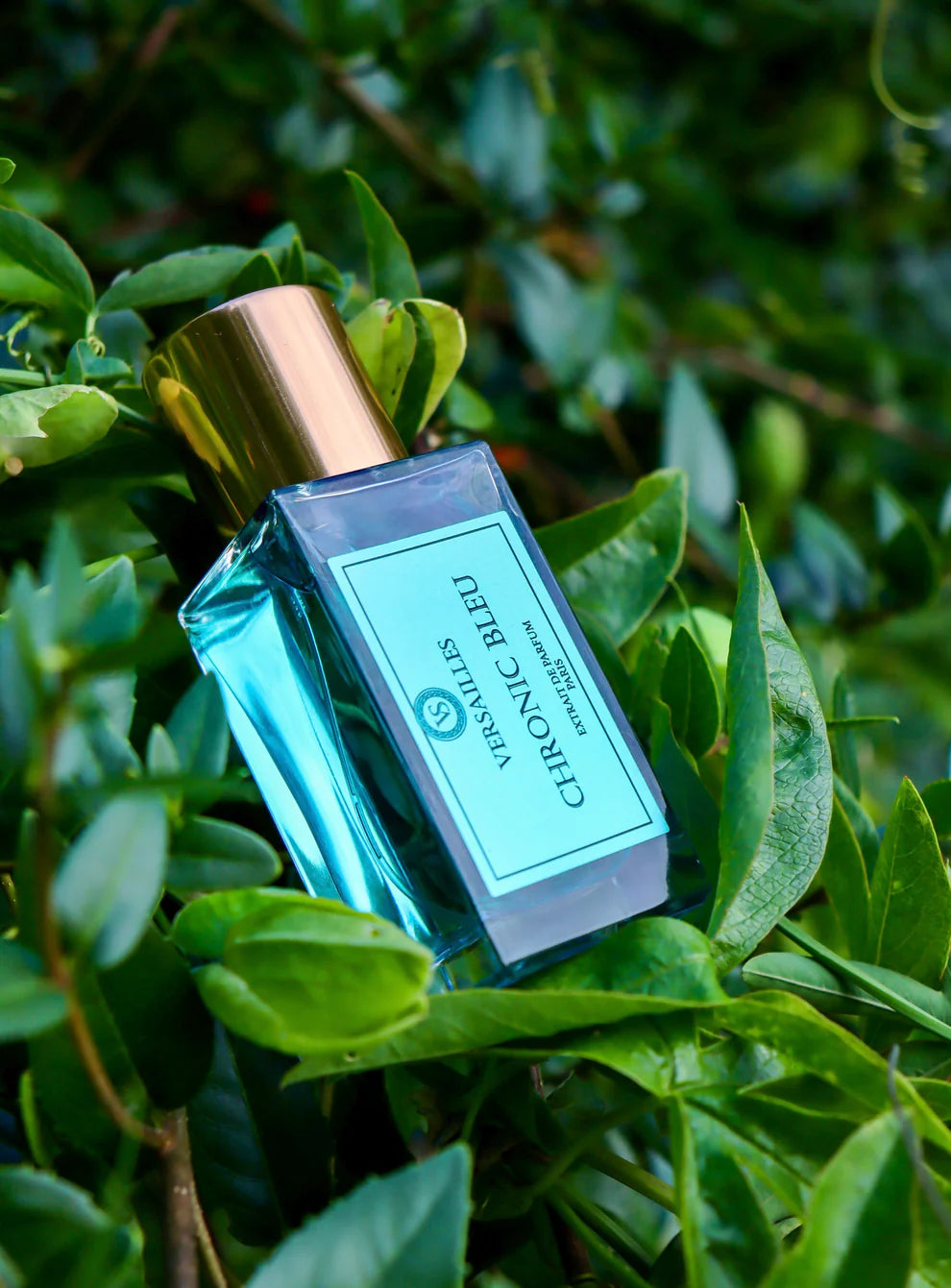 VERSAILLES | CHRONIC BLEU