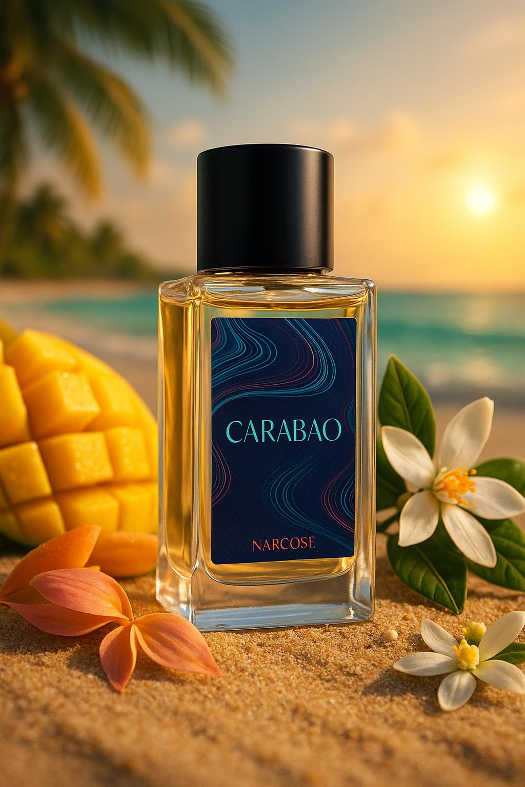 Maison Narcose | Carabeo