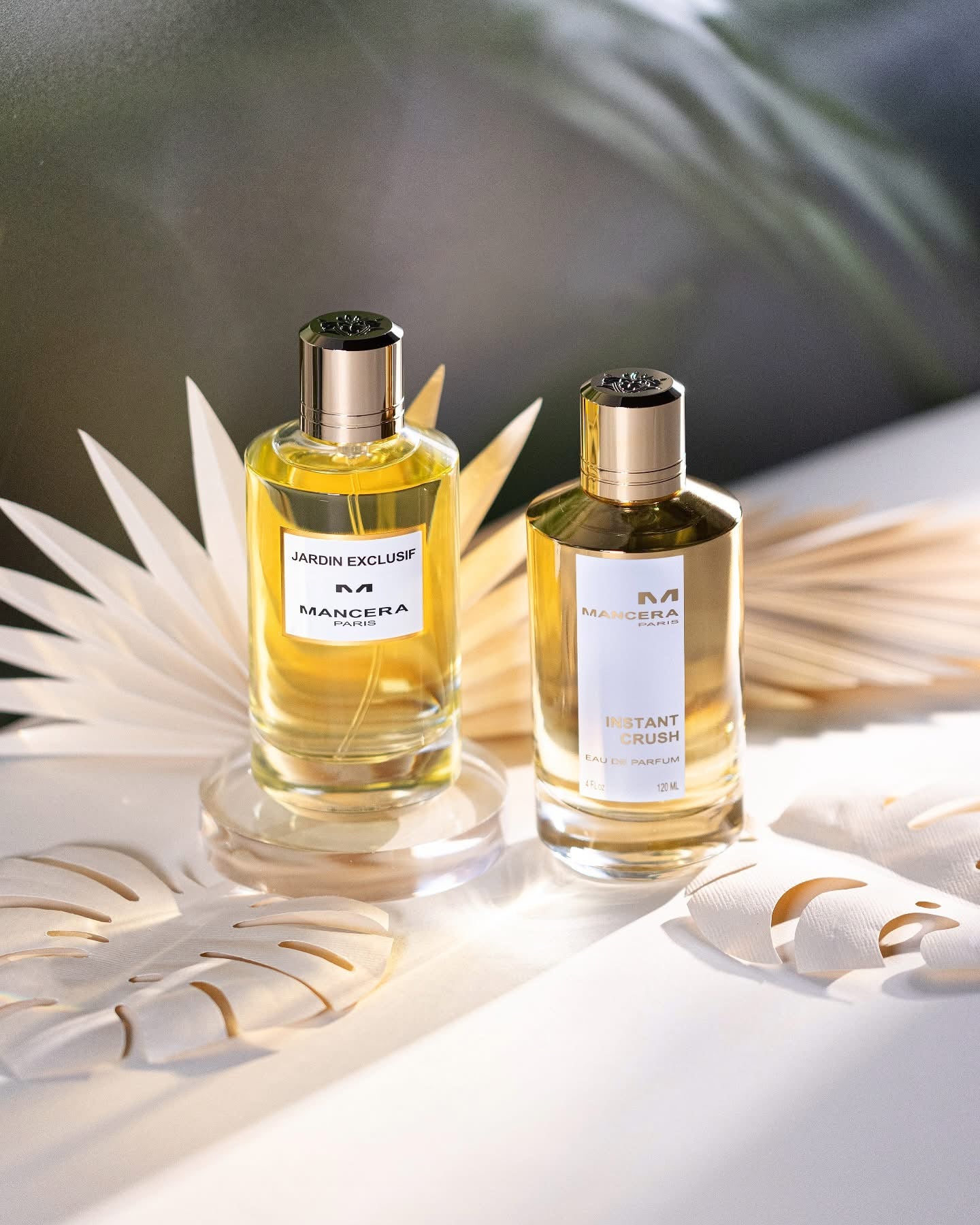 JARDIN EXCLUSIF - AKARRA JADE