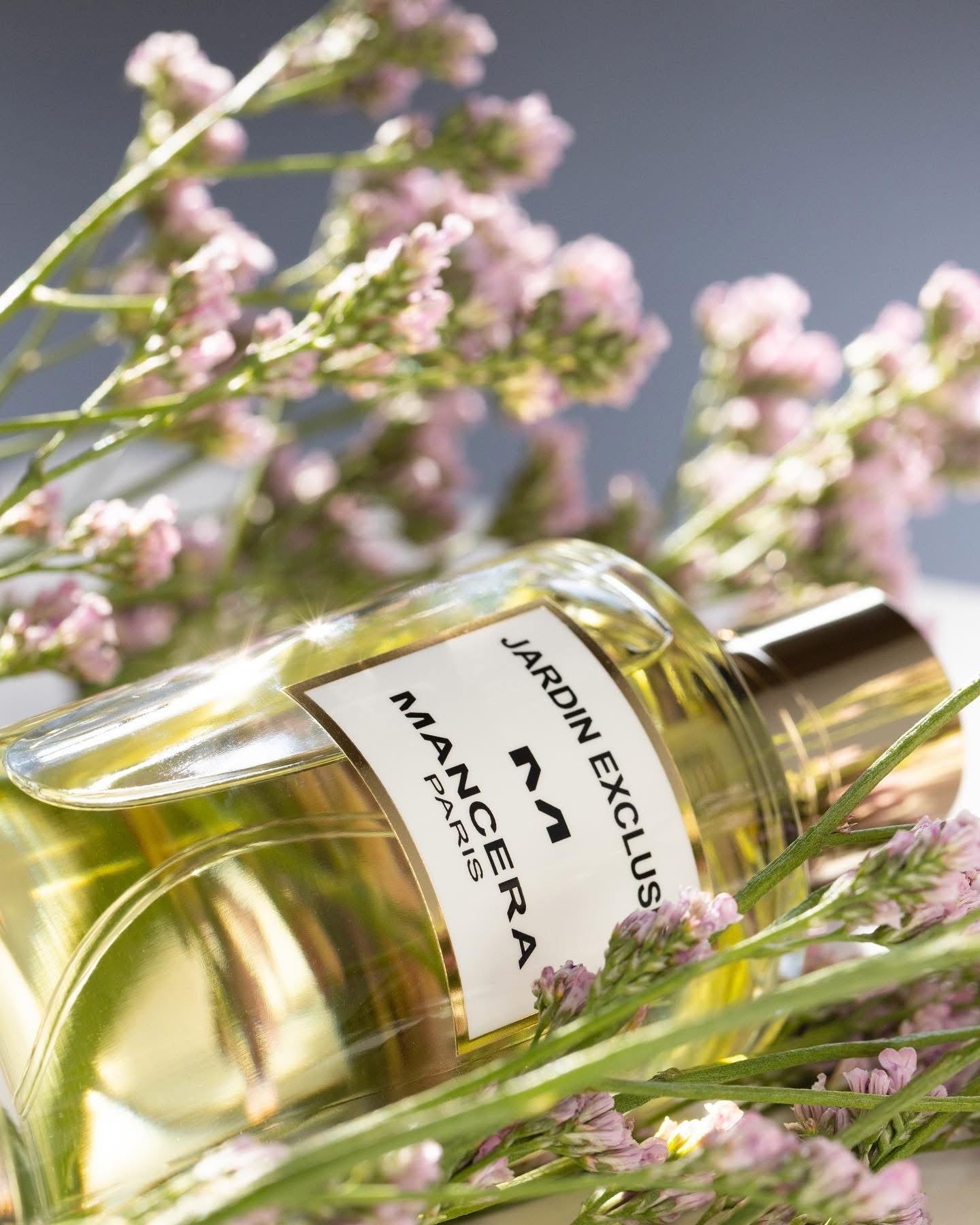 JARDIN EXCLUSIF - AKARRA JADE