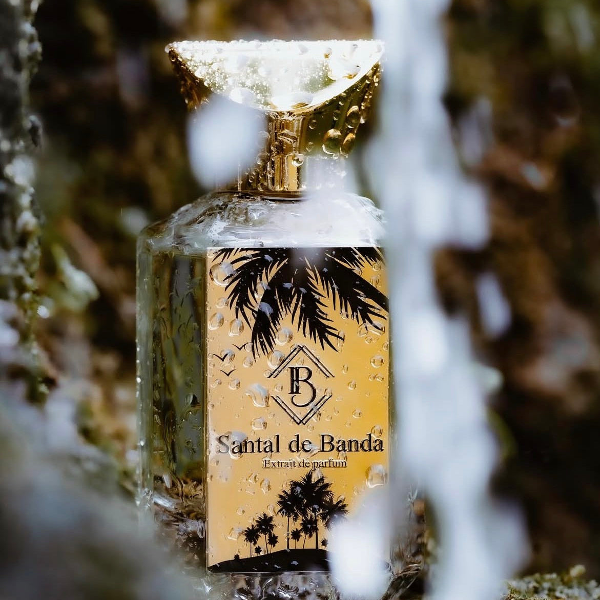 SANTAL DE BANDA