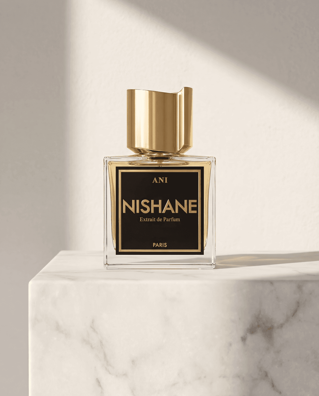 NISHANE | ANI