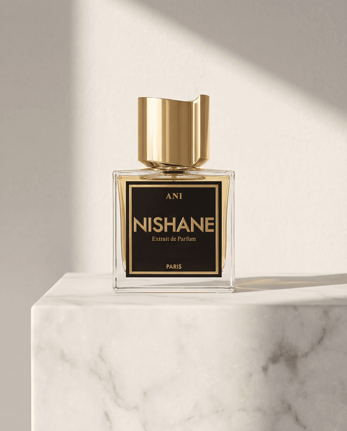 NISHANE | ANI
