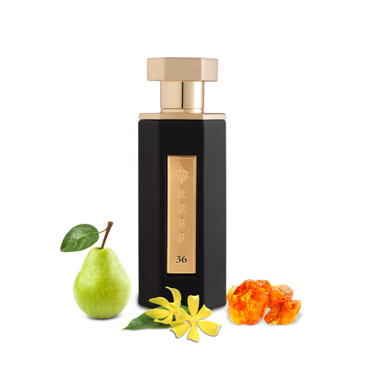 REEF 36 – Eau de Parfum 100 ml – Parfum Classique