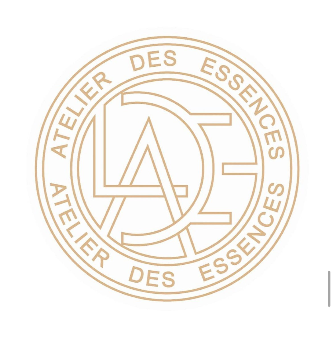 ATELIER DES ESSENCES - Étreinte de Rose – Eau de Parfum Femme 100 ml