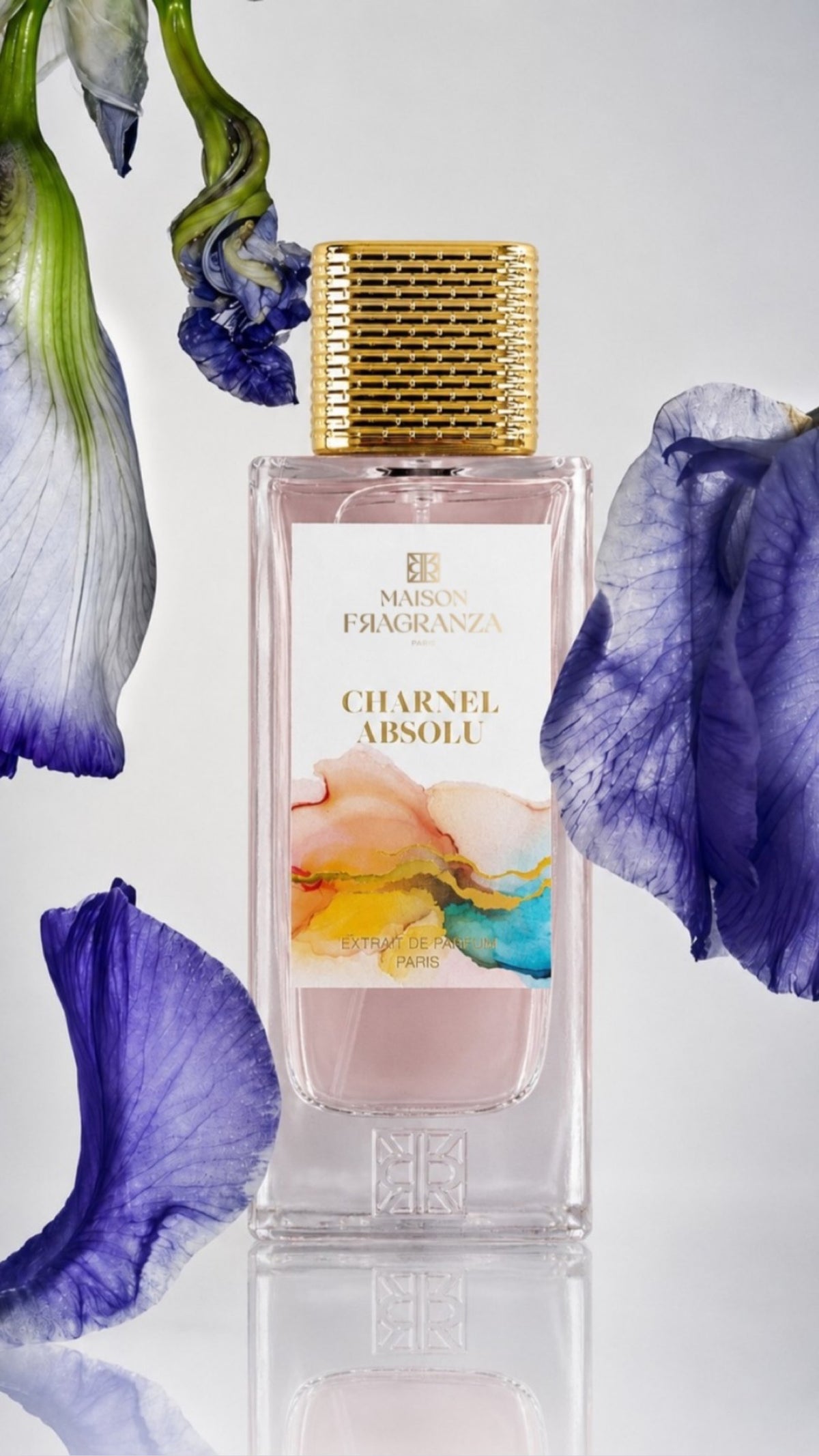 CHARNEL ABSOLU