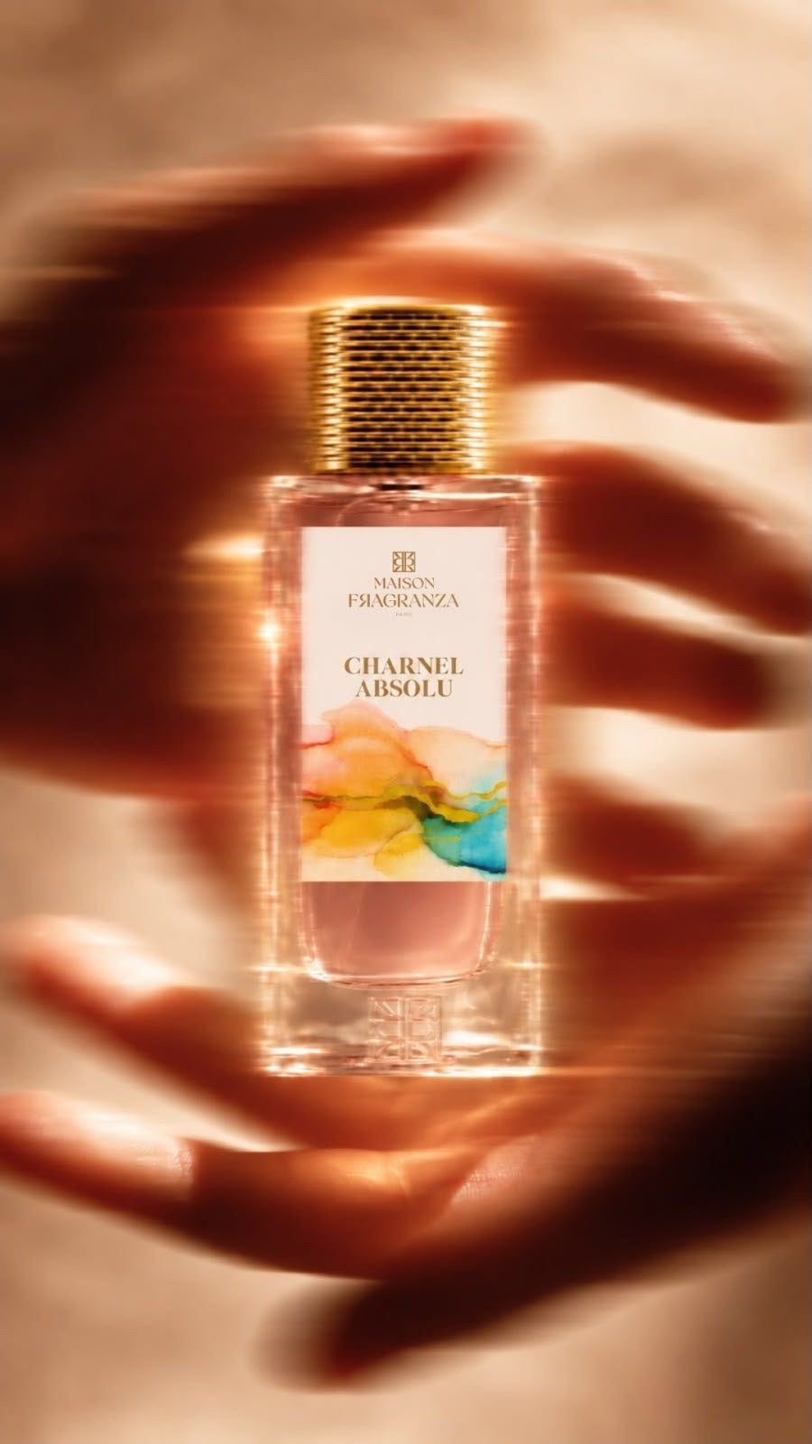 CHARNEL ABSOLU