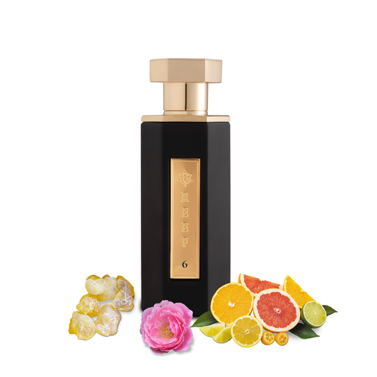 REEF 6 – Eau de Parfum 100 ml – Parfum Classique Femme