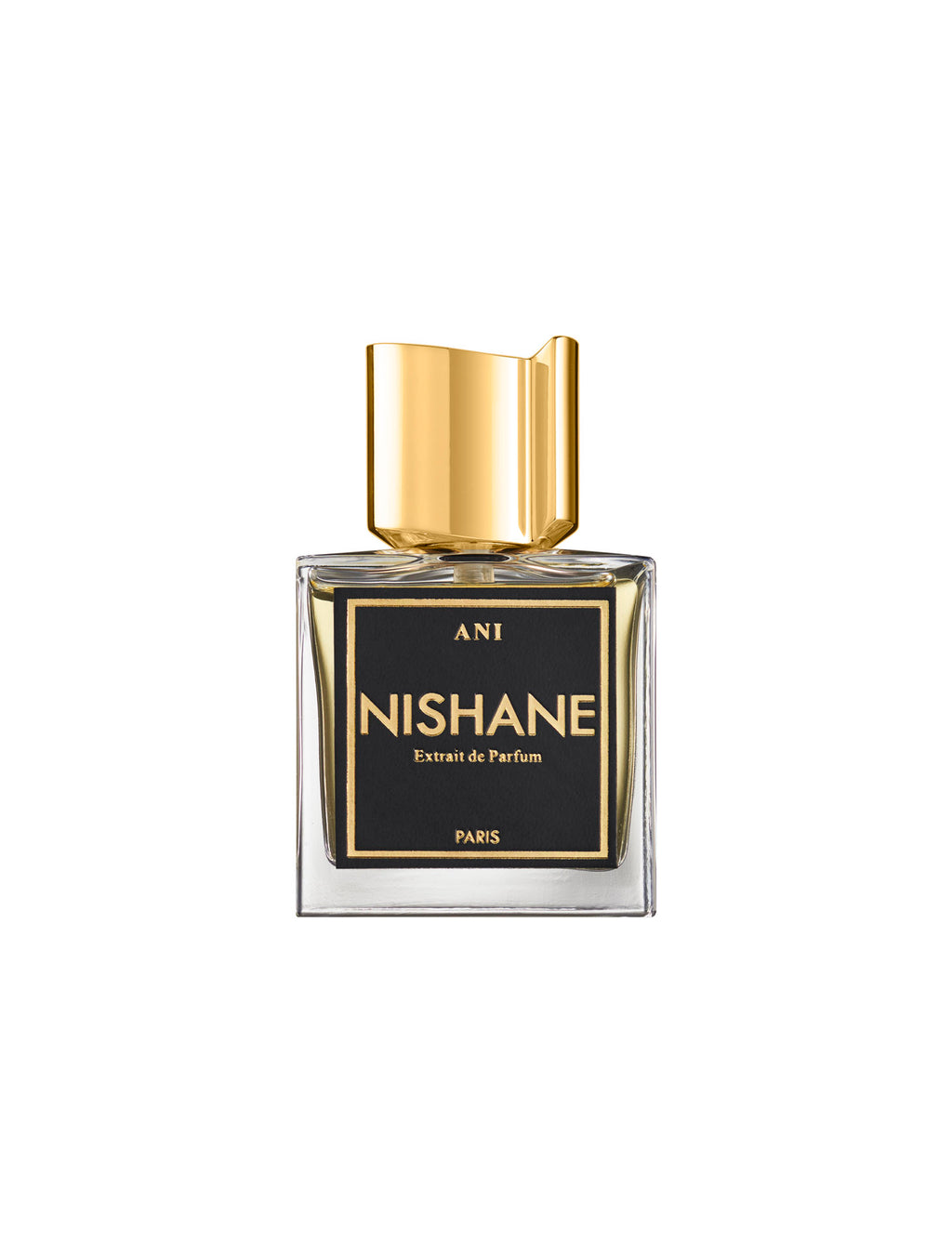 NISHANE | ANI