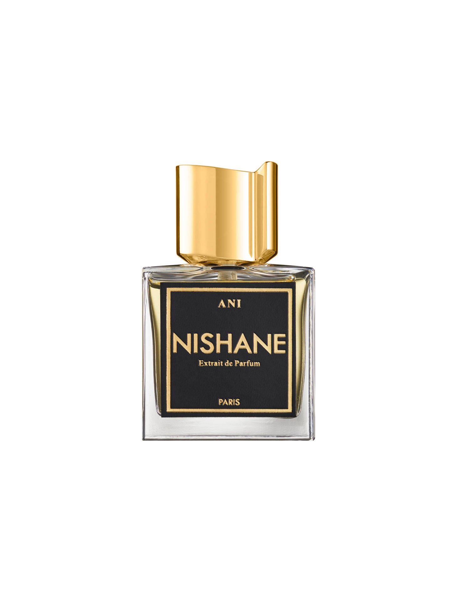 NISHANE | ANI