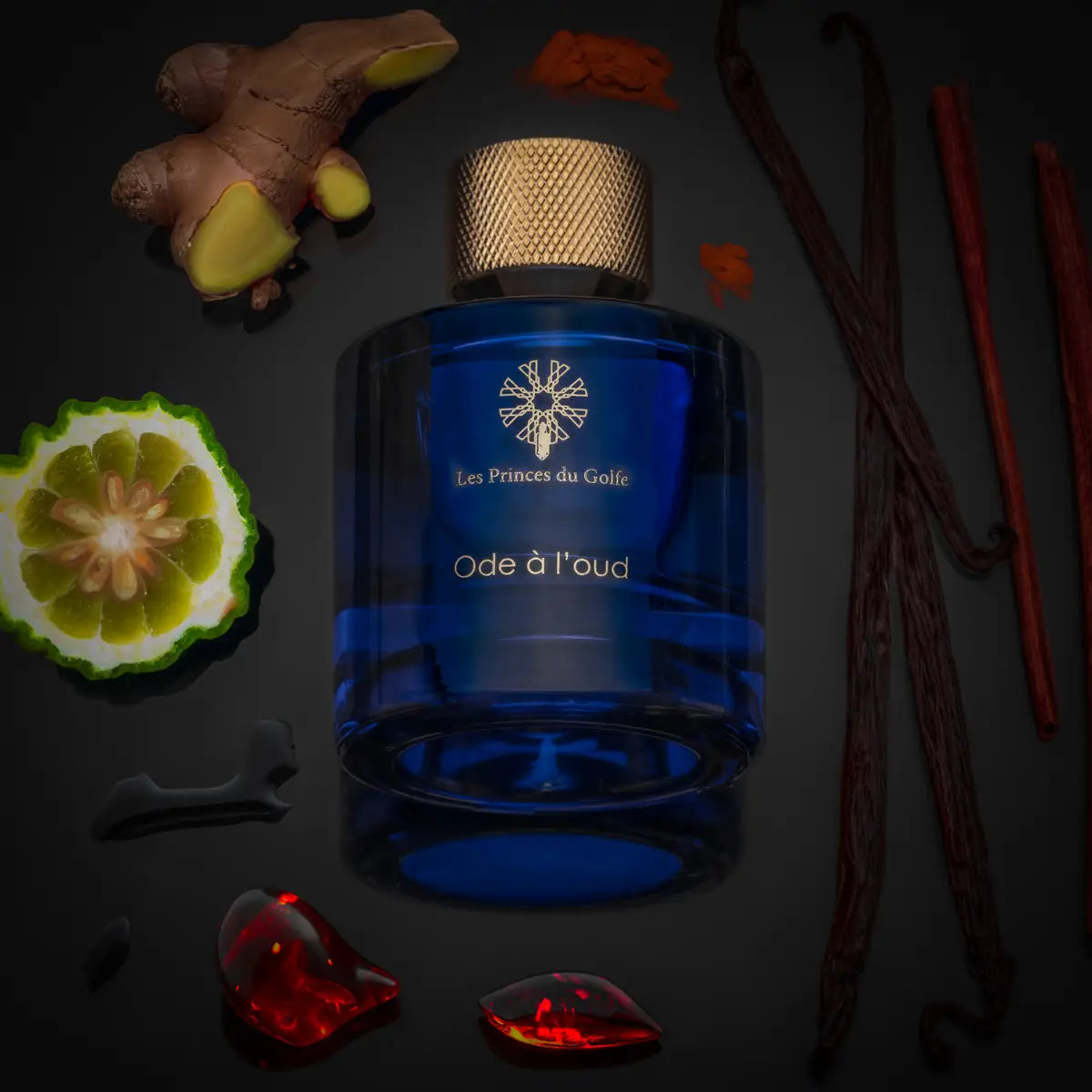 ODE À L’OUD – OUD ET VANILLE – LES PRINCES DU GOLFE