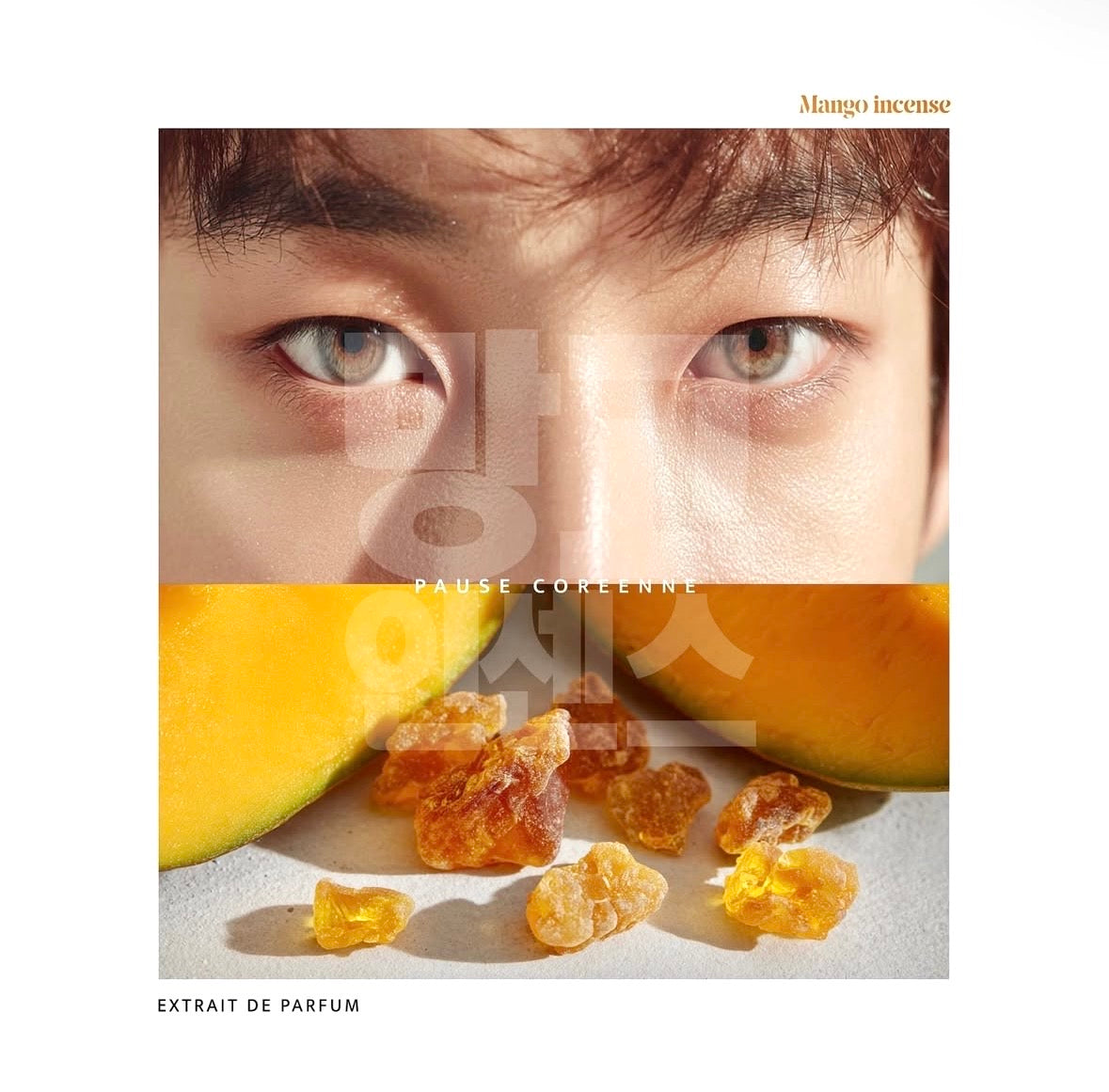 PAUSE COREENNE | MANGO INCENSE