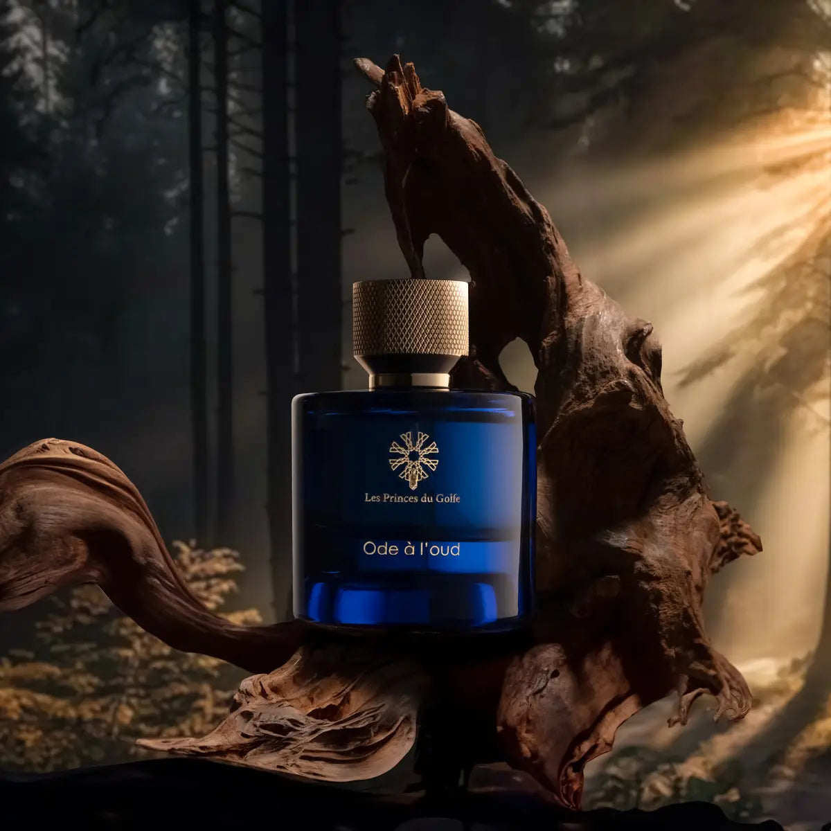 ODE À L’OUD – OUD ET VANILLE – LES PRINCES DU GOLFE