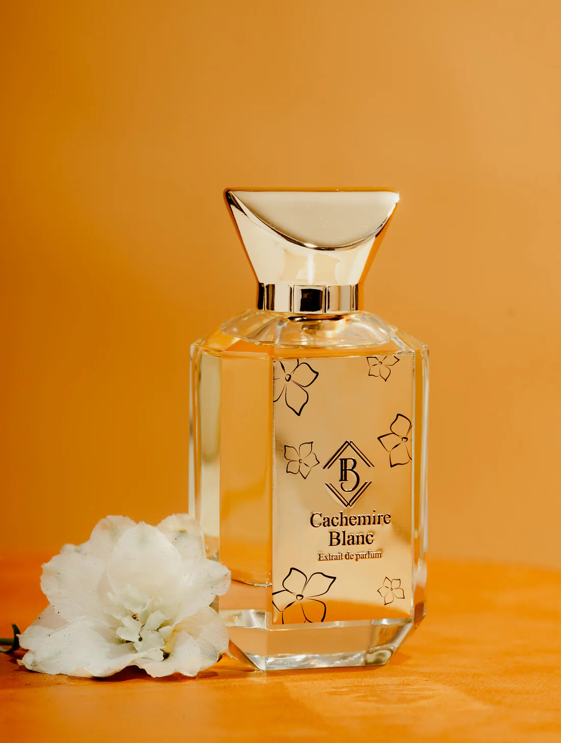 CACHEMIRE BLANC