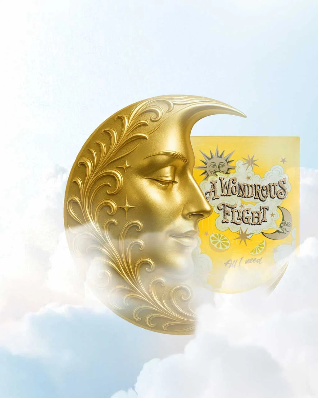 A WONDROUS FLIGHT
