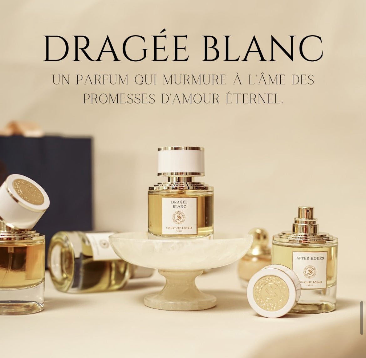 SIGNATURE ROYALE | DRAGÉE BLANC - Akarra Jade