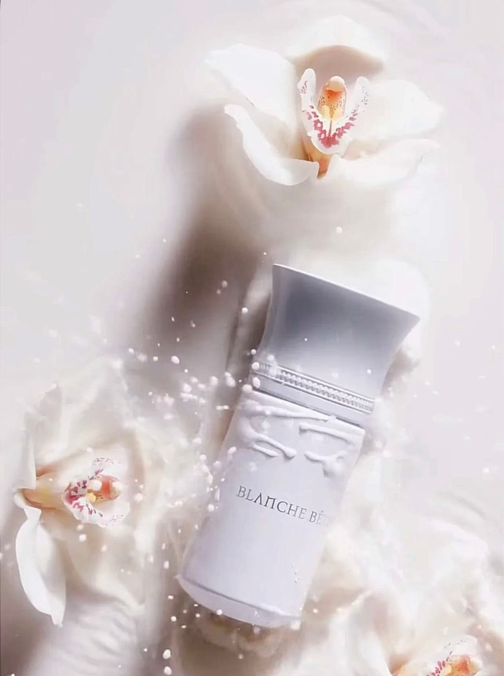 LIQUIDE IMAGINAIRE | BLANCHE BÊTE | ÉDITION LIMITÉ