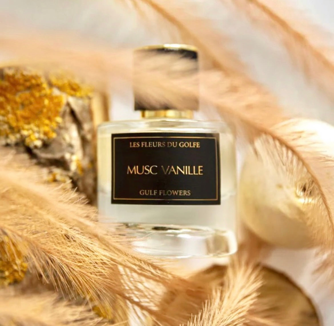 MUSC VANILLE  – LES FLEURS DU GOLFE