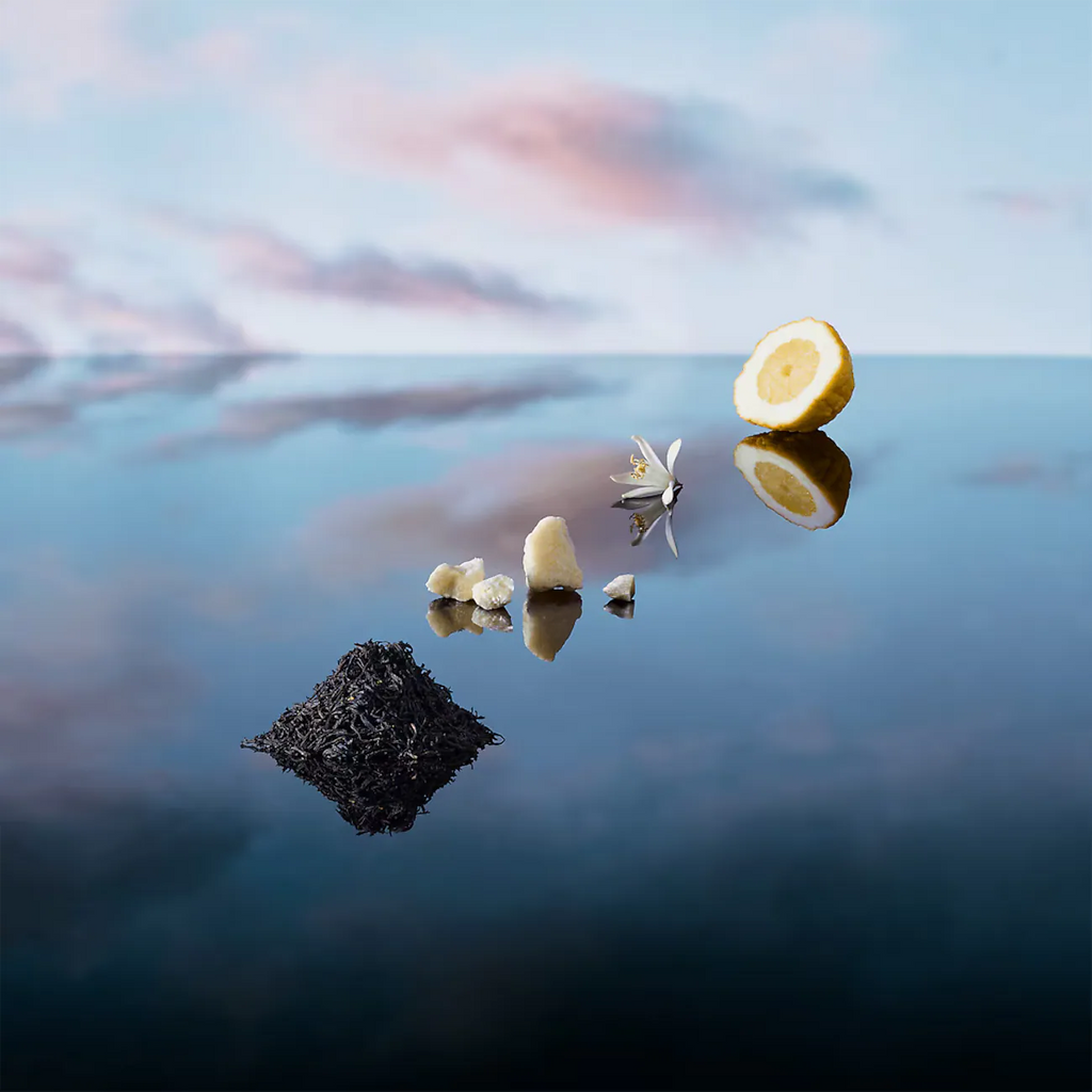 Louis Vuitton — Imagination